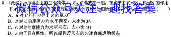 安徽省2023-2024学年度九年级线下教学质量检测q物理
