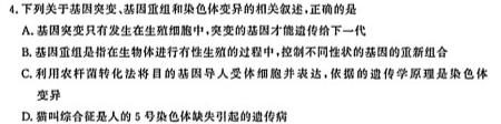 新疆兵团地州学校2023~2024学年高二第一学期期中联考(24-46B)生物试卷答案