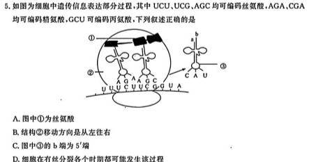 2023-2024学年山东省高一"选科调考"第一次联考(箭头SD)生物
