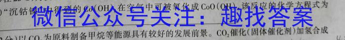 3河南省2023-2024学年新乡市高一“选科调研”第一次测试化学