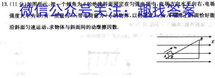 山东省2024届高二质量检测联合调考(24-72B)l物理