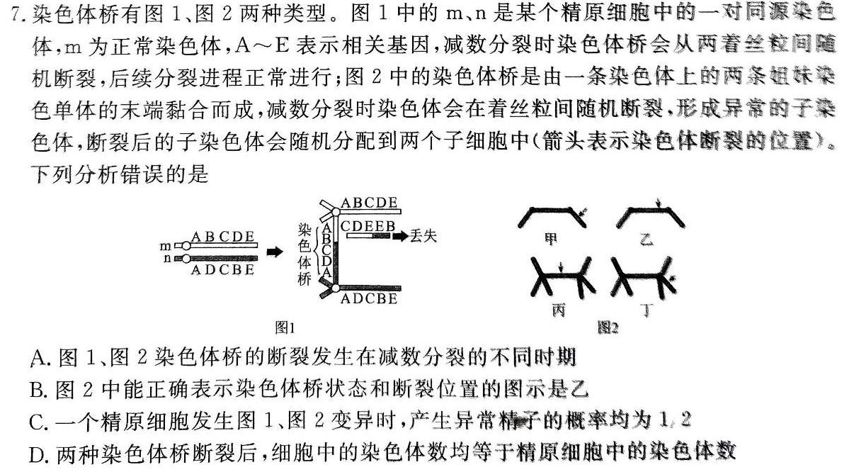 学科网2024届高三10月大联考考后强化卷(全国乙卷)生物学试题答案