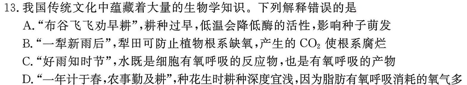 ［湖南大联考］湖南省2023-2024学年度高二年级上学期期中联考生物学试题答案