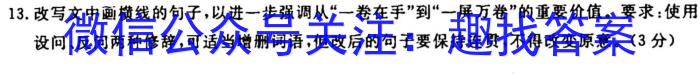 江西省2024届九年级第二次阶段适应性评估 R-PGZX A-JX语文