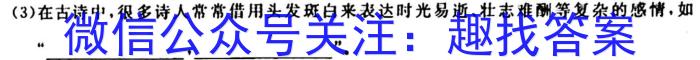 山西省2023-2024学年第一学期九年级双减教学跟踪与测评（二）/语文