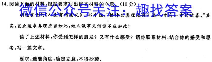  2023-2024学年安徽省八年级上学期阶段性练习（二）/语文