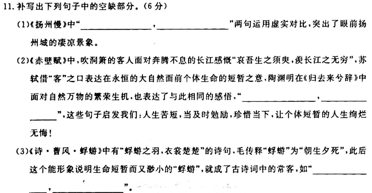 学科网2024届高三11月大联考(全国乙卷)语文