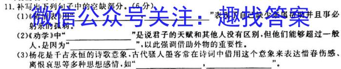 河南省南阳地区2024届高三年级期中热身模拟考考试卷（11月）/语文