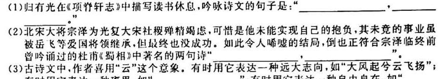 河南省2024届洛平许济四市高三年级10月联考语文