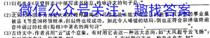 河南省九年级2023-2024学年度综合素养评估（二）【R-PGZX C HEN】语文