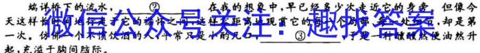 益卷 陕西省2023~2024学年度九年级第一学期课后综合作业(一)/语文