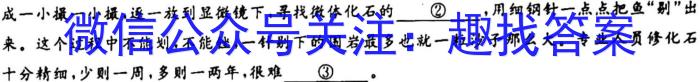 衡水金卷 2024届高三年级10月份大联考(新教材)/语文