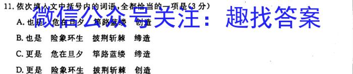 新高中创新联盟TOP二十名校2023-2024学年高一上学期11月调研考试语文