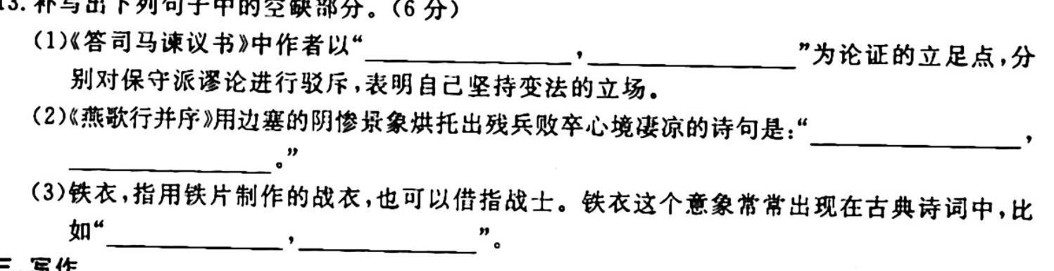 江苏省2023-2024学年九年级学情调研测试语文