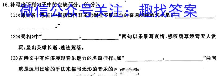 国考1号5·第5套·2024届高三阶段性考试(二)语文