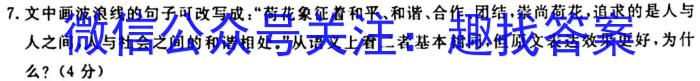 河北省2024届九年级第一学期第一次学情评估（B卷）/语文