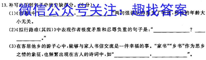 衡水金卷.先享题.分科综合卷 2024年普通高等学校招生全国统一考试模拟试题语文