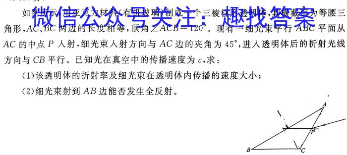 衡水金卷 广东省2024届高三10月大联考物理`