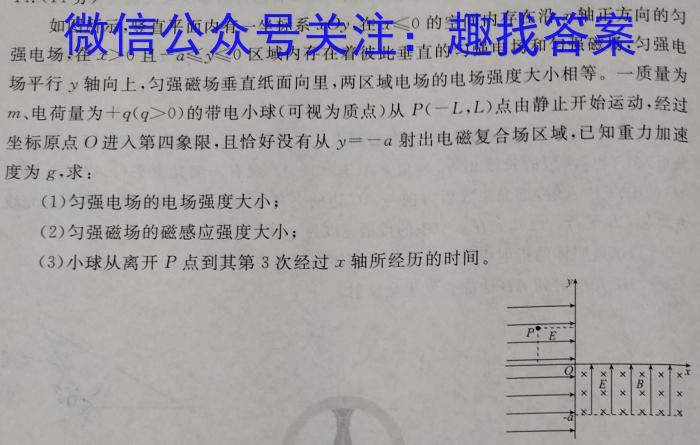 陕西省2023-2024学年度第一学期第一次阶段性作业C版l物理