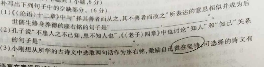 金科大联考2024届高三10月质量检测(24046C)语文