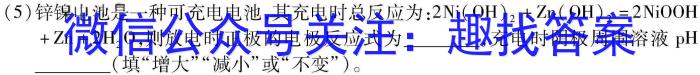 q陕西省2023-2024学年度第一学期九年级期中检测（E）化学