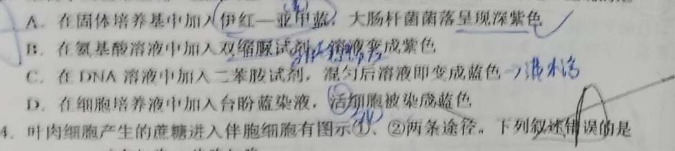 ［黑龙江大联考］黑龙江省2024届高三年级上学期10月联考生物学试题答案