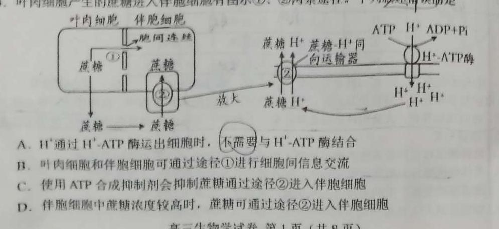 2024届全国名校高三单元检测示范卷(二十)生物