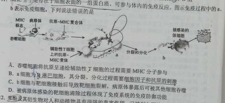 安徽省2023~2024学年度届八年级阶段质量检测 R-PGZX F-AH〇生物学试题答案