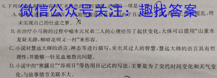 江苏省2023-2024学年九年级学情调研测试/语文