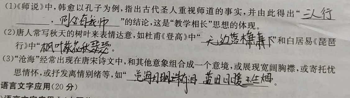 2023-2024学年安徽省九年级教学质量检测（二）语文