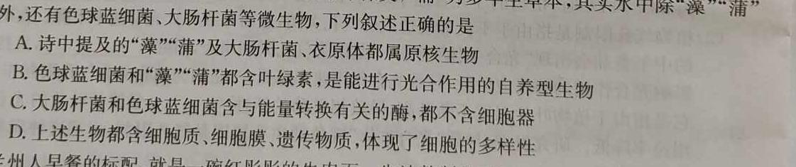 河南省2023-2024学年度高三一轮复习阶段性检测（四）生物试卷答案