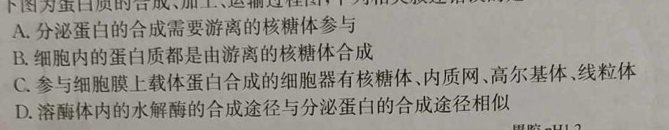 山西省2023-2024学年度八年级第一学期阶段性练习（二）生物试卷答案