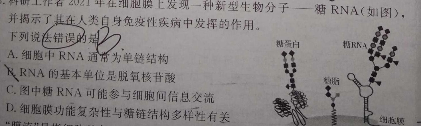 贵州金卷·贵州省普通中学2023-2024学年度八年级第一学期质量测评（二）生物学试题答案