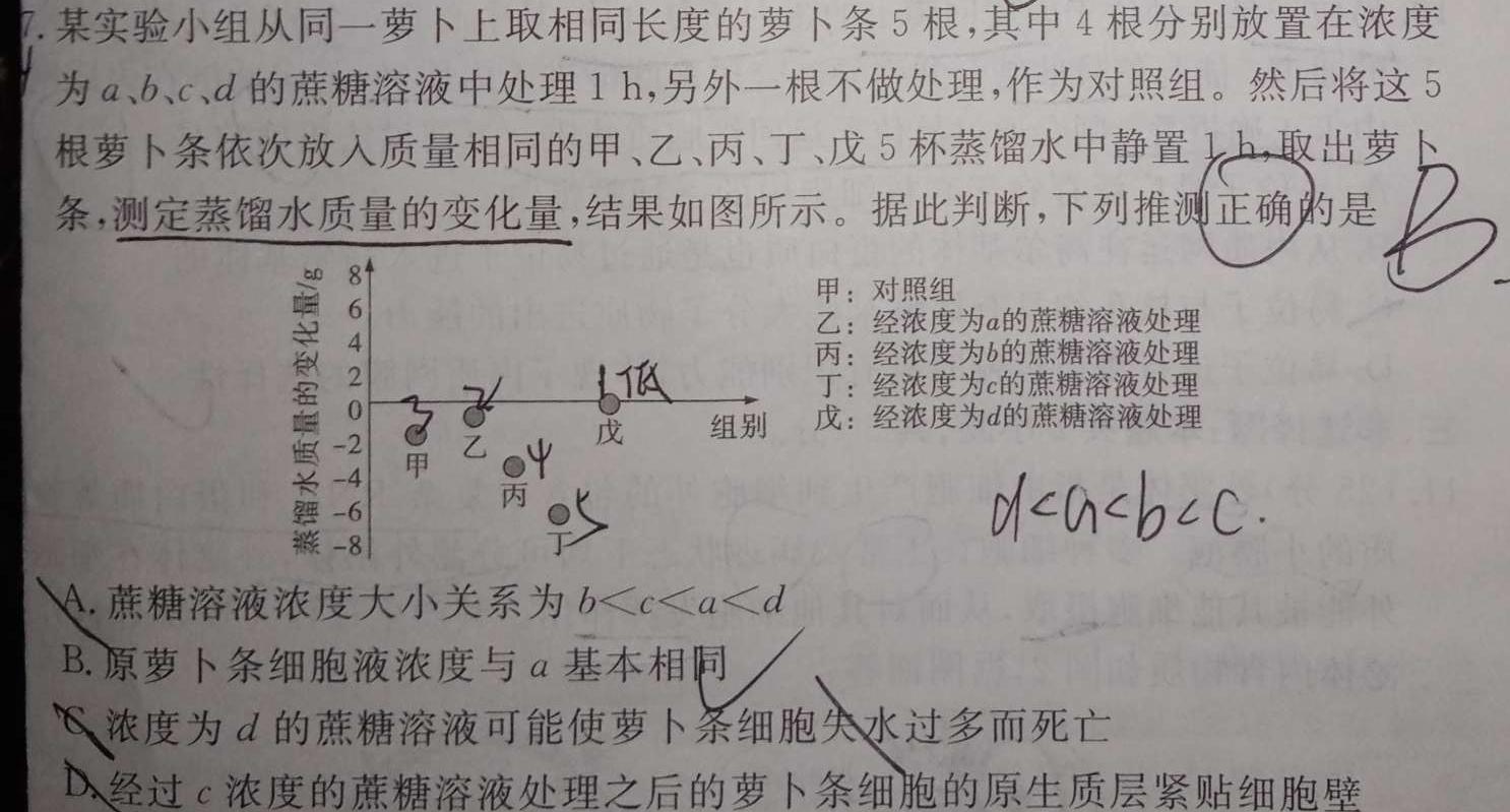 安徽省2023-2024学年高二年级上学期阶段检测联考(24004B)生物学试题答案