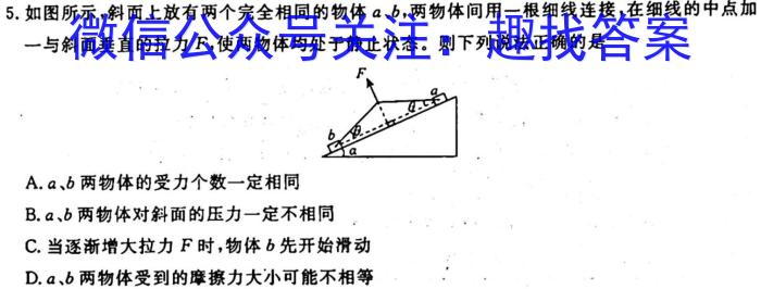 ɽʡ2023~2024ѧȾ꼶׶(B)R-PGZX E SHX()xԾ