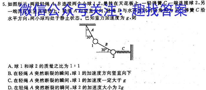 ʡ2024꼶п11xԾ