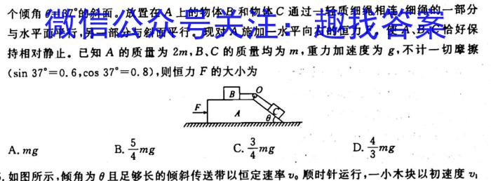 江淮名校·2023~2024学年上学期高一年级阶段联考(241136D)q物理