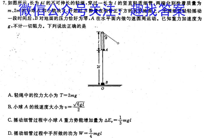 河南省2023-2024学年七年级上学期阶段性评价卷一f物理