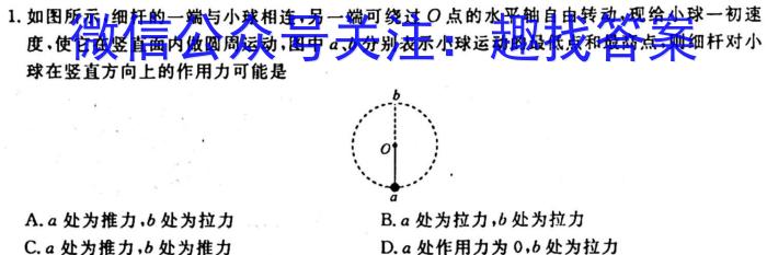 江西省2023-2024学年度九年级高效课堂练习（一）物理`