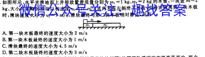 ［耀正优］安徽省2025届高二10月联考物理`