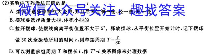 三湘名校教育联盟/湖湘名校教育联合体2024届高三10月大联考q物理