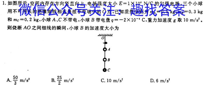 [今日更新]江苏省2023-2024学年高二上学期10月阶段性质量检测.物理