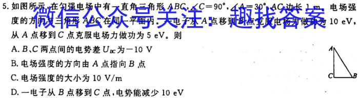 河南省2023-2024学年新乡市高一“选科调研”第一次测试q物理