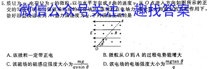2024ȫУԪʾ()xԾ