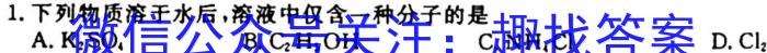 1四川省大数据精准教学联盟2021级高三第一次统一监测化学