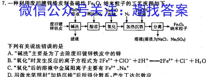 32023-2024学年山东省高一"选科调考"第一次联考(箭头SD)化学