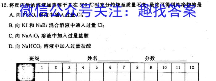 q河北九年级2023-20234学年新课标闯关卷（四）HEB化学