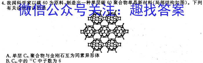 q河南省2023-2024学年度九年级大联考阶段评估卷（一）化学
