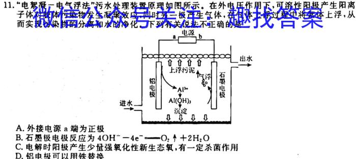 1江西省2023-2024学年度七年级上学期阶段评估（一）化学