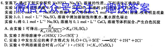 3安徽省2023-2024学年耀正优+高二名校阶段检测联考(24004B)化学